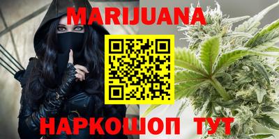 прущие грибы Камышлов