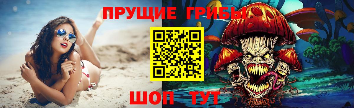 Псилоцибиновые грибы Magic Shrooms  Вход с VPN  Псилоцибиновые грибы Magic Shrooms  Кстово 